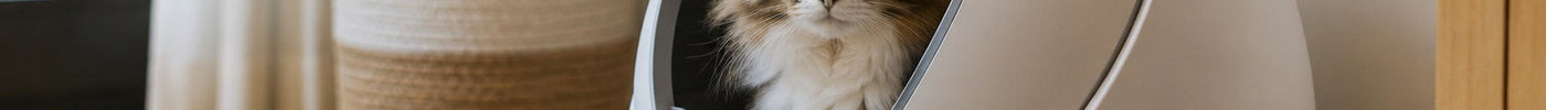 Are Self-Cleaning Litter Boxes Worth the Investment?