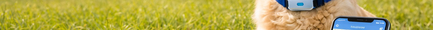 Best GPS Trackers for Dogs That Escape Often