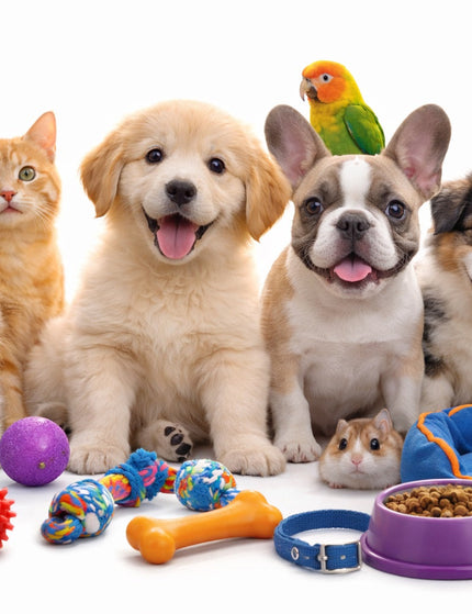 Collection image for: Home page