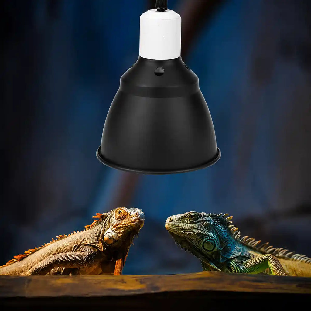 High-quality reptile UV heat lamp illuminating two iguanas inside a terrarium. Ideal product image for reptile habitat lighting, basking areas, and tropical lizard care.