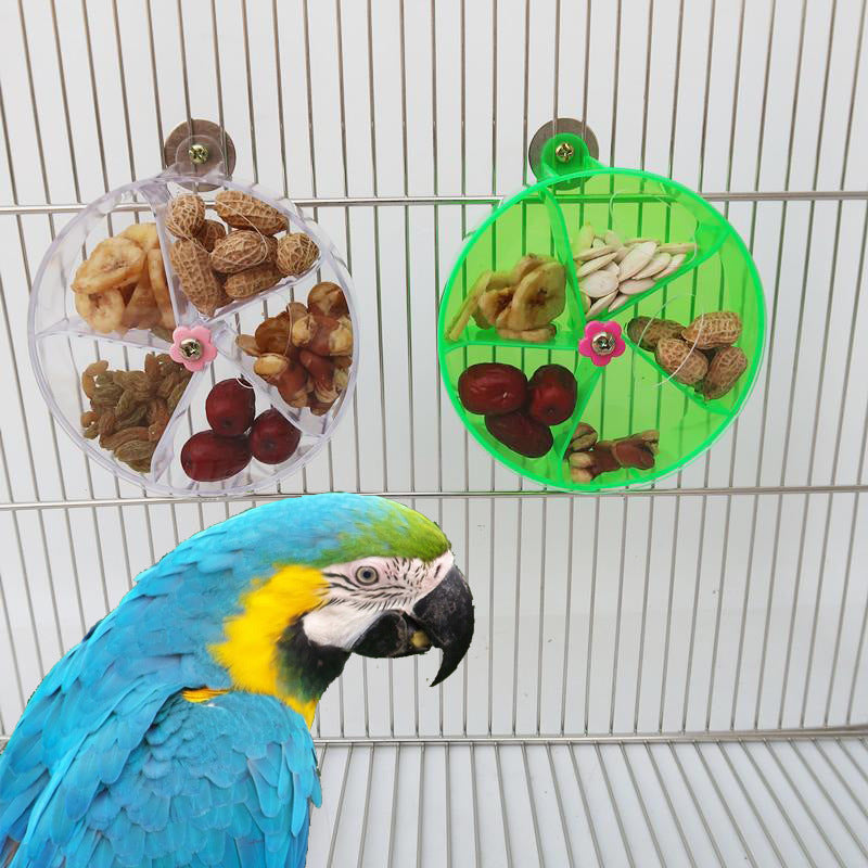 Interactive Acrylic Wind Wheel Toy for Smart, Curious Birds