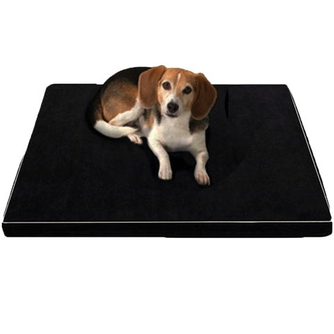 Deep Sleep Orthopedic Memory Foam Bed for Large & Elderly Dogs