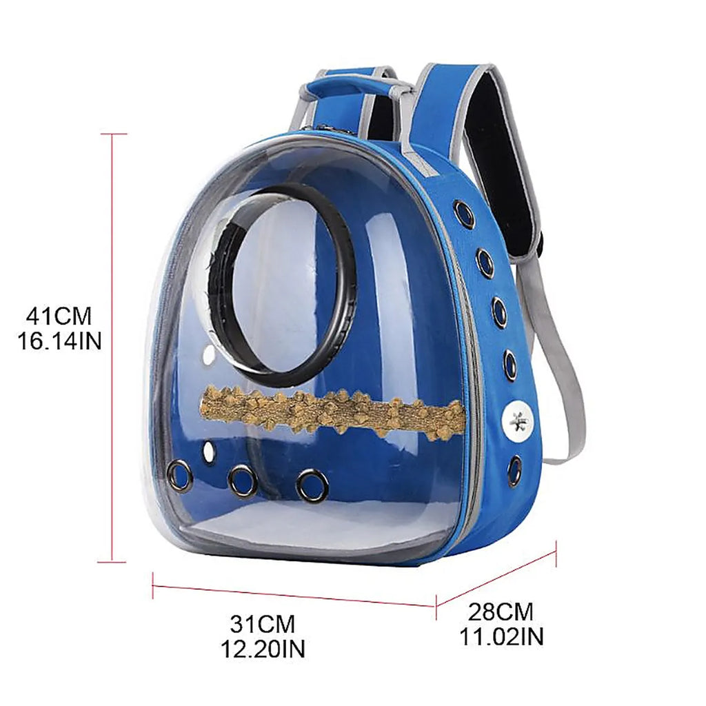 Blue transparent pet backpack carrier with perch and ventilation holes, dimensions 41 cm x 31 cm x 28 cm, suitable for birds and small pets.