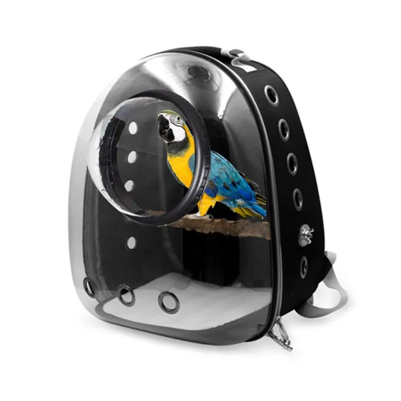 Transparent bird travel backpack with bubble viewing window carrying a blue and yellow macaw parrot on an internal wooden perch.