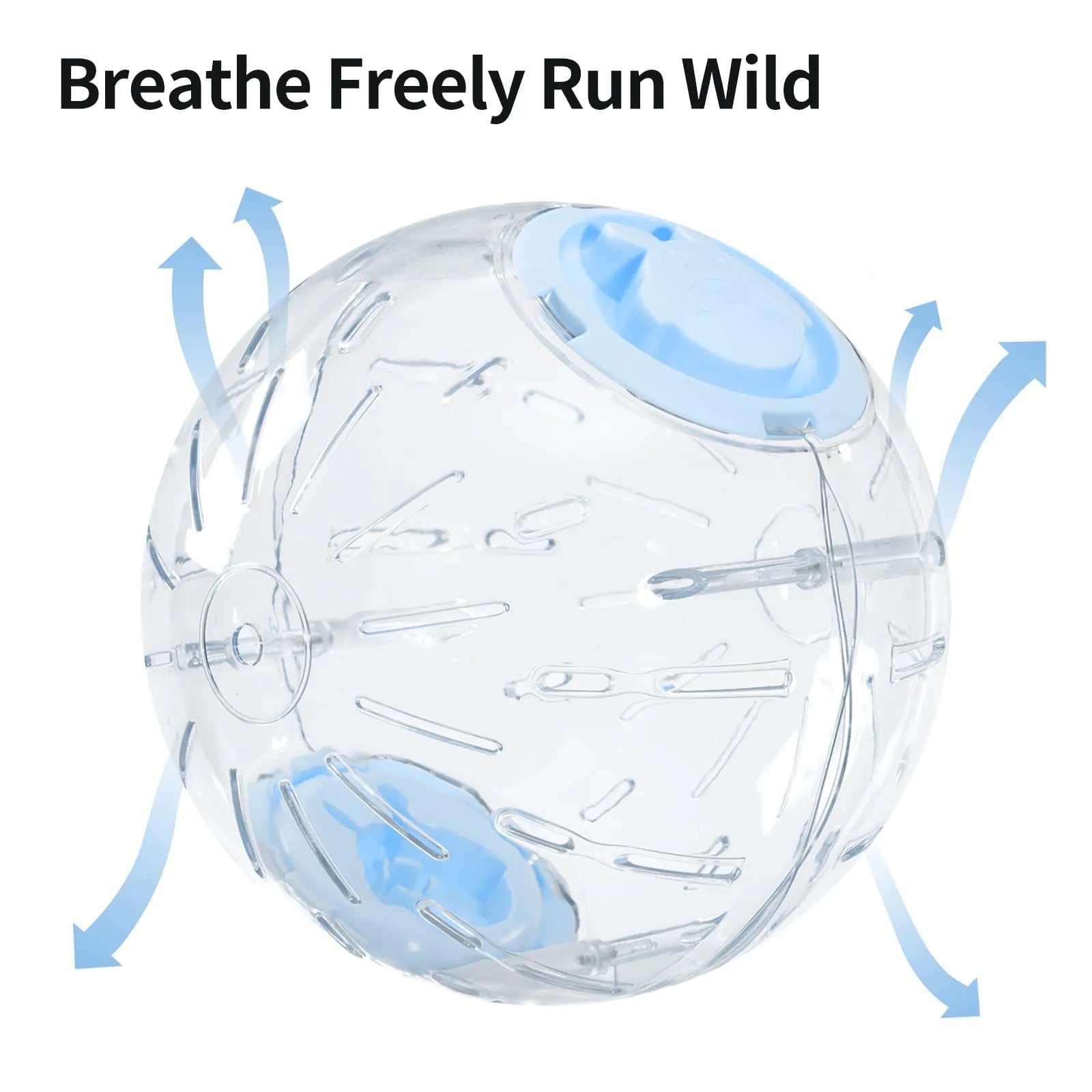 Transparent ventilated hamster exercise ball with blue airflow caps and breathable design for safe indoor exercise for hamsters and other small pets.