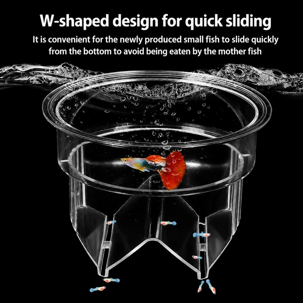 Transparent aquarium breeder box with W-shaped bottom design on a black background, allowing newborn fish fry to slide safely into a protected area away from adult fish.