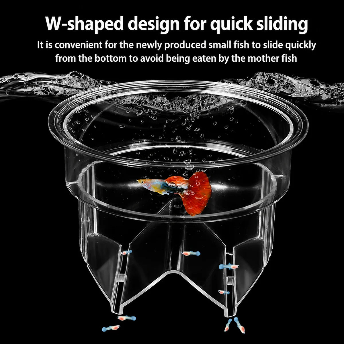 Transparent aquarium breeder box with W-shaped bottom design on a black background, allowing newborn fish fry to slide safely into a protected area away from adult fish.