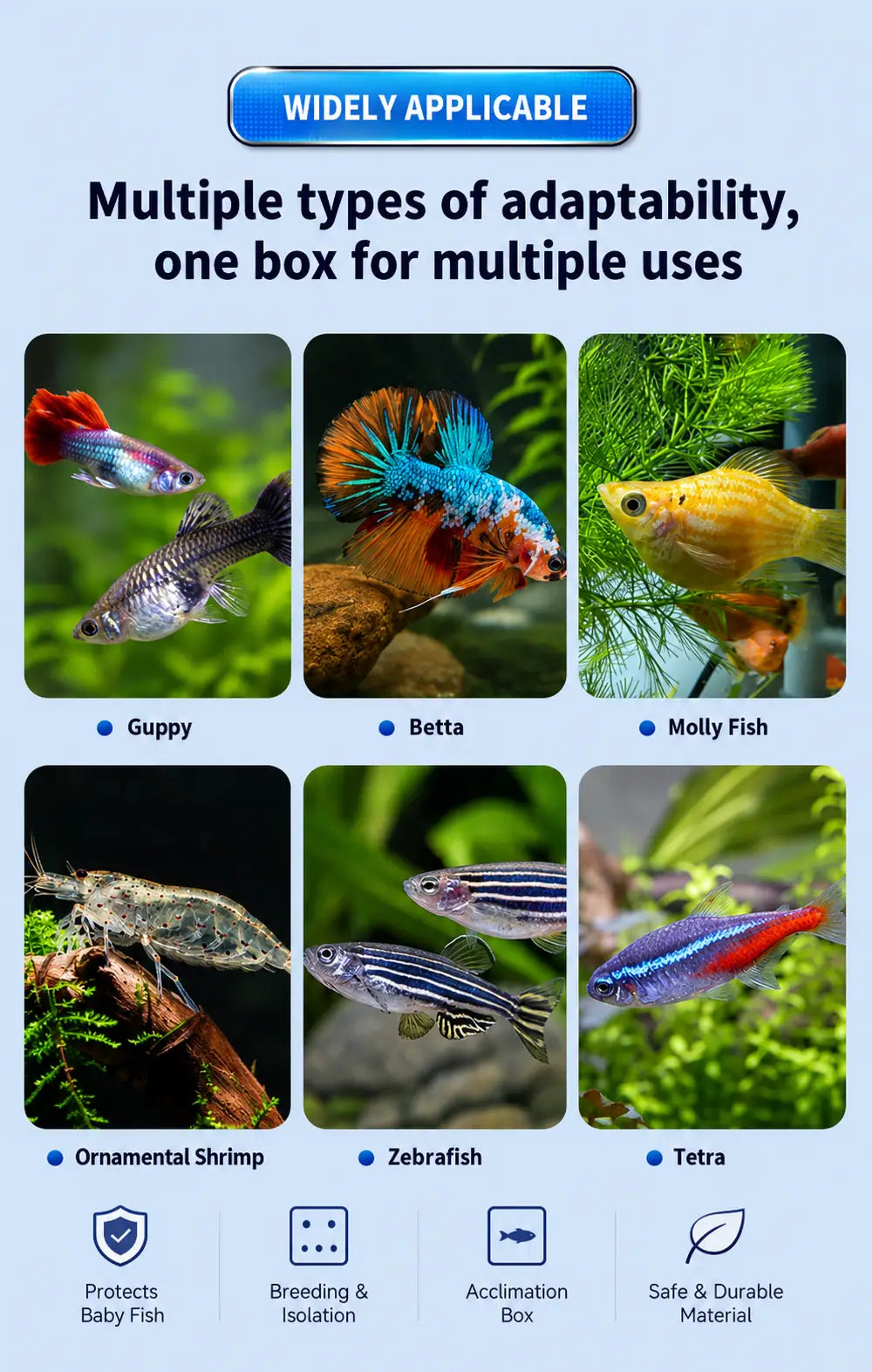 Aquarium breeding box compatible with guppies, bettas, mollies, ornamental shrimp, zebrafish and tetras for breeding, isolation and acclimation.