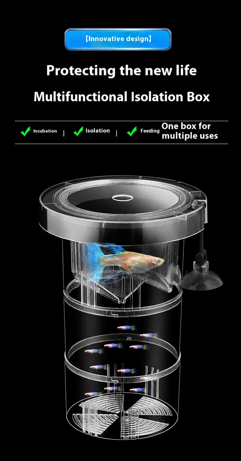 Transparent multifunctional aquarium isolation box for breeding, incubating, isolating, and protecting baby fish with a black background.