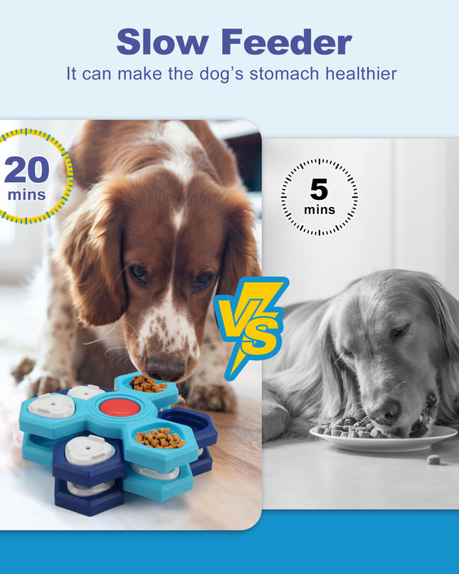 Slow Feeder Puzzle Toy for Healthy, Happy Pets