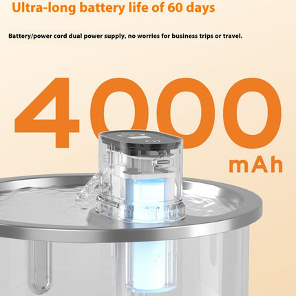 Smart Stainless Steel Cat Water Fountain with Motion Sensor