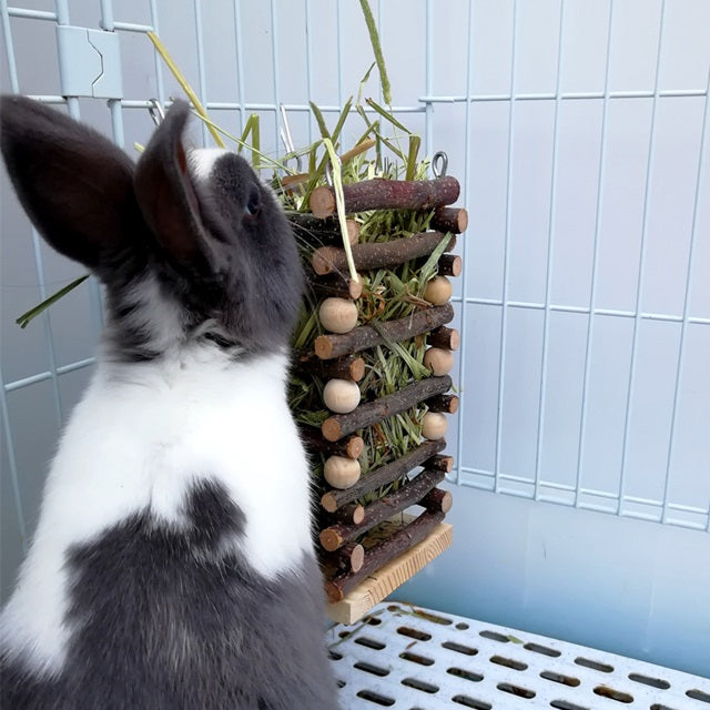 Eco-Friendly Wooden Grass Feeder for Rabbits and Guinea Pigs