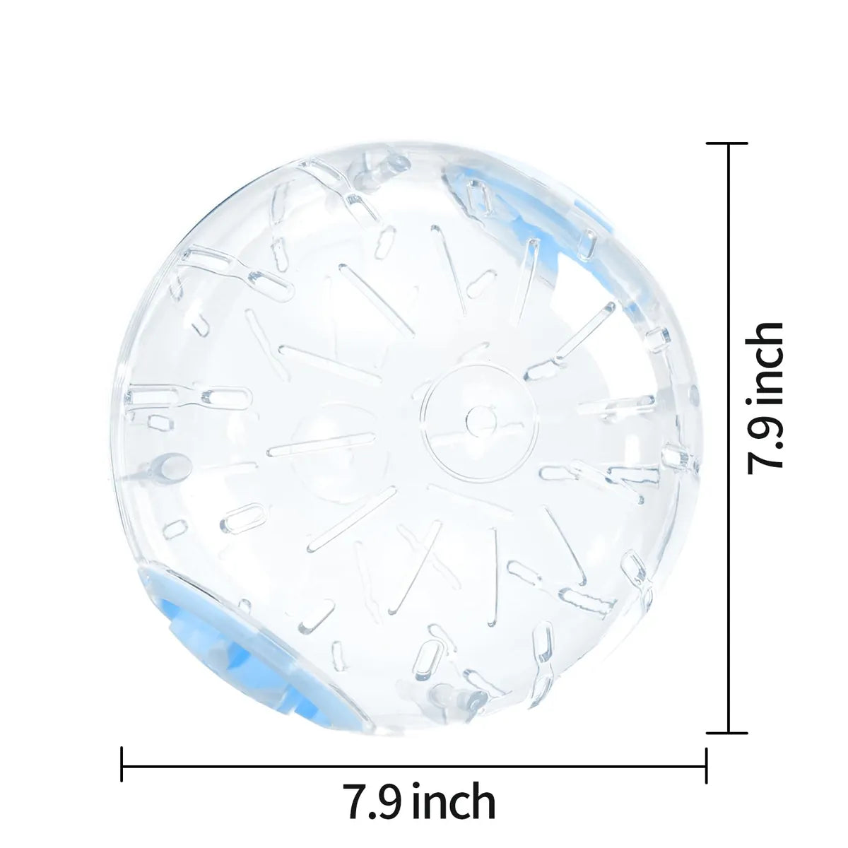 Transparent 7.9-inch hamster exercise ball with blue end cap and product dimensions displayed on a white background.
