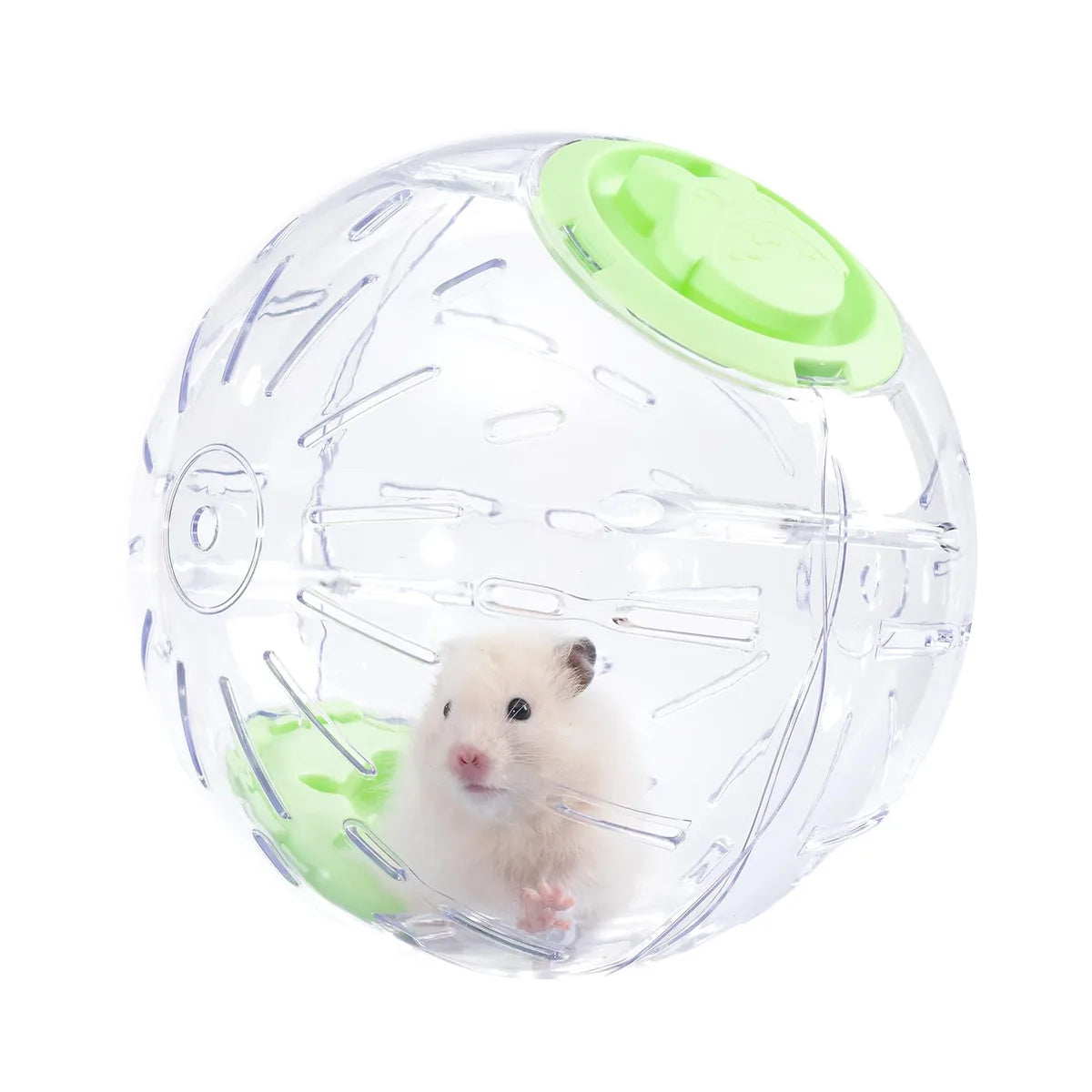 Cream-colored hamster inside a transparent green exercise ball for small pets on a white background.