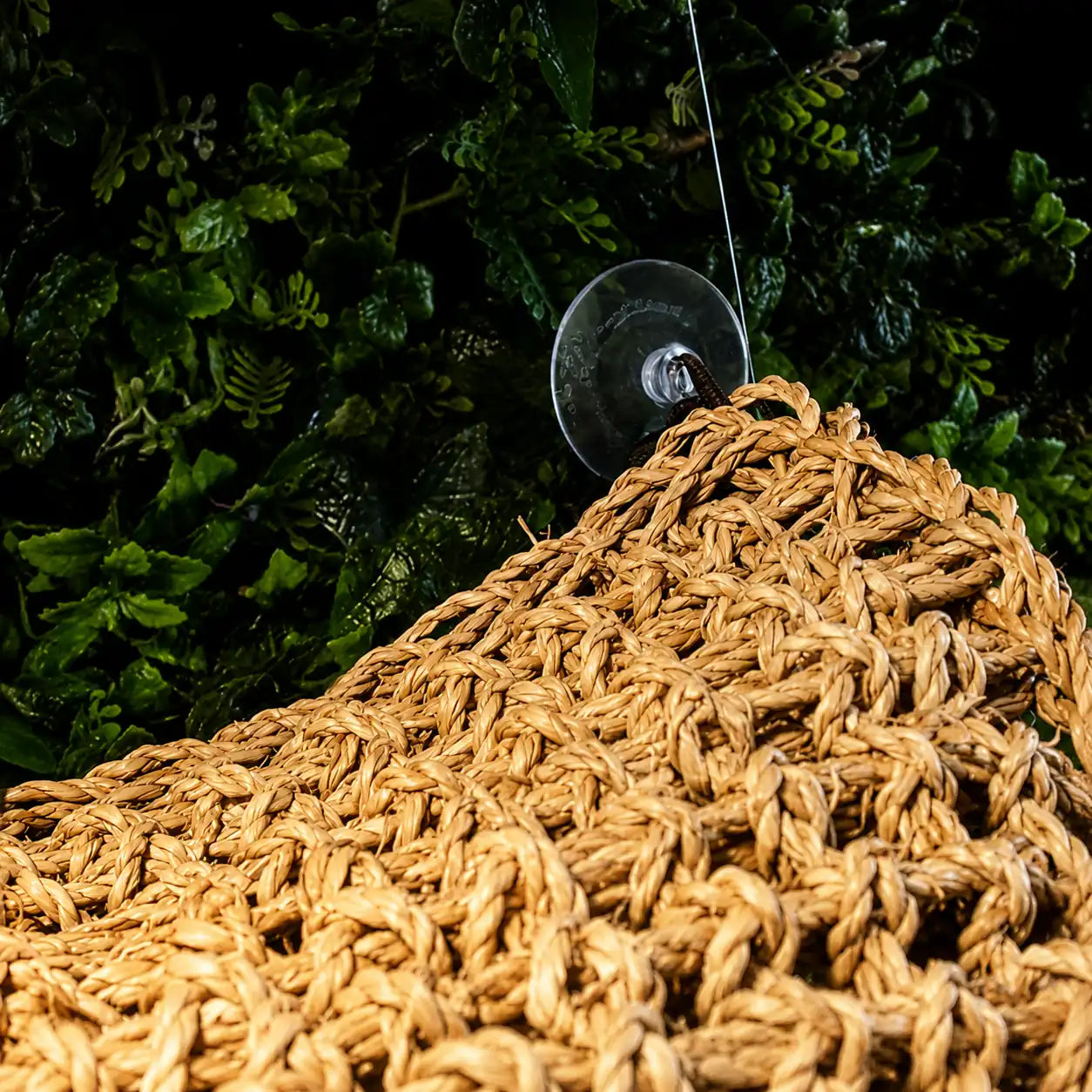 Natural woven reptile terrarium hammock with durable suction cup mount, providing a comfortable climbing and resting area for geckos, bearded dragons, anoles, and other arboreal reptiles.