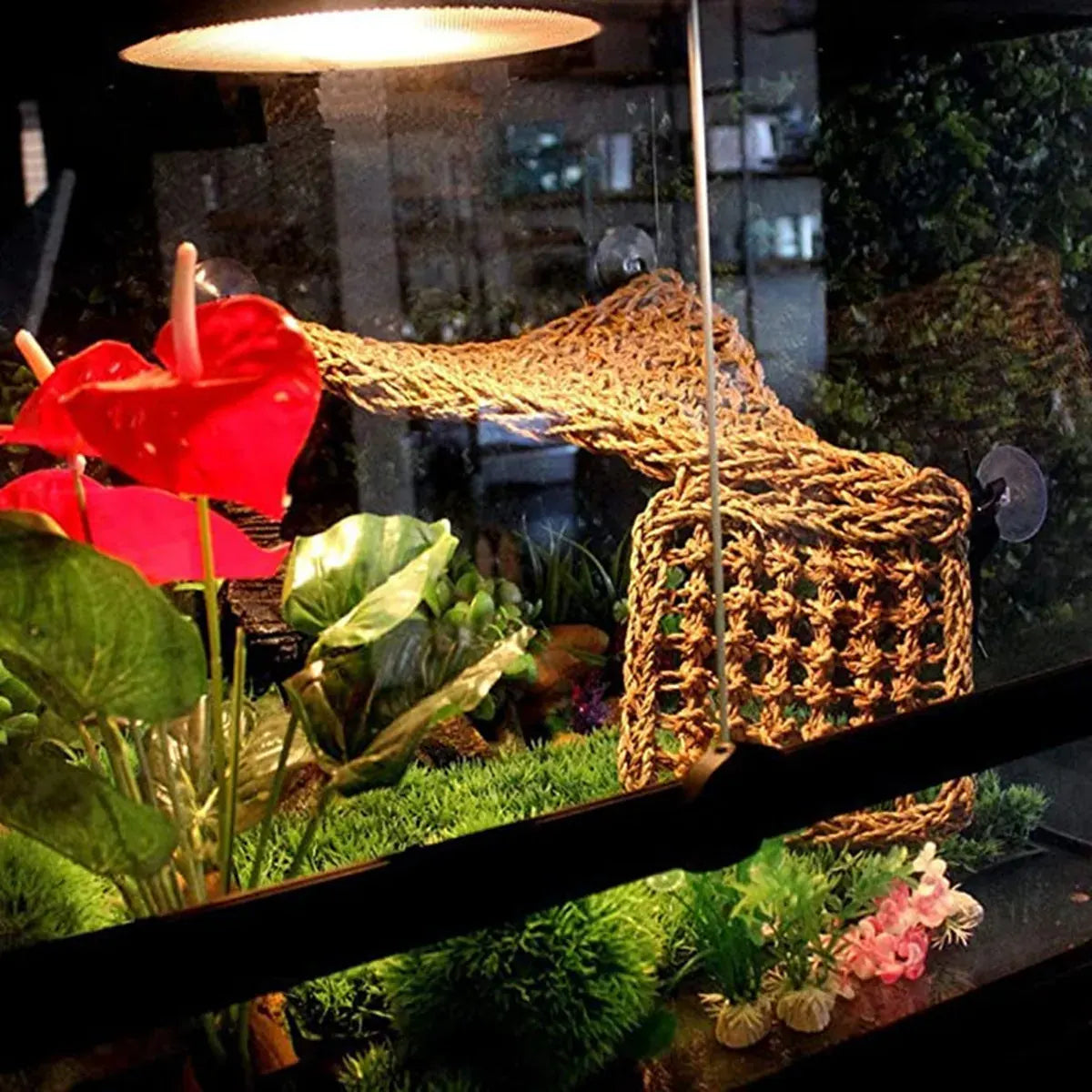 Natural rope reptile hammock inside a planted glass terrarium beneath a dome heat lamp.