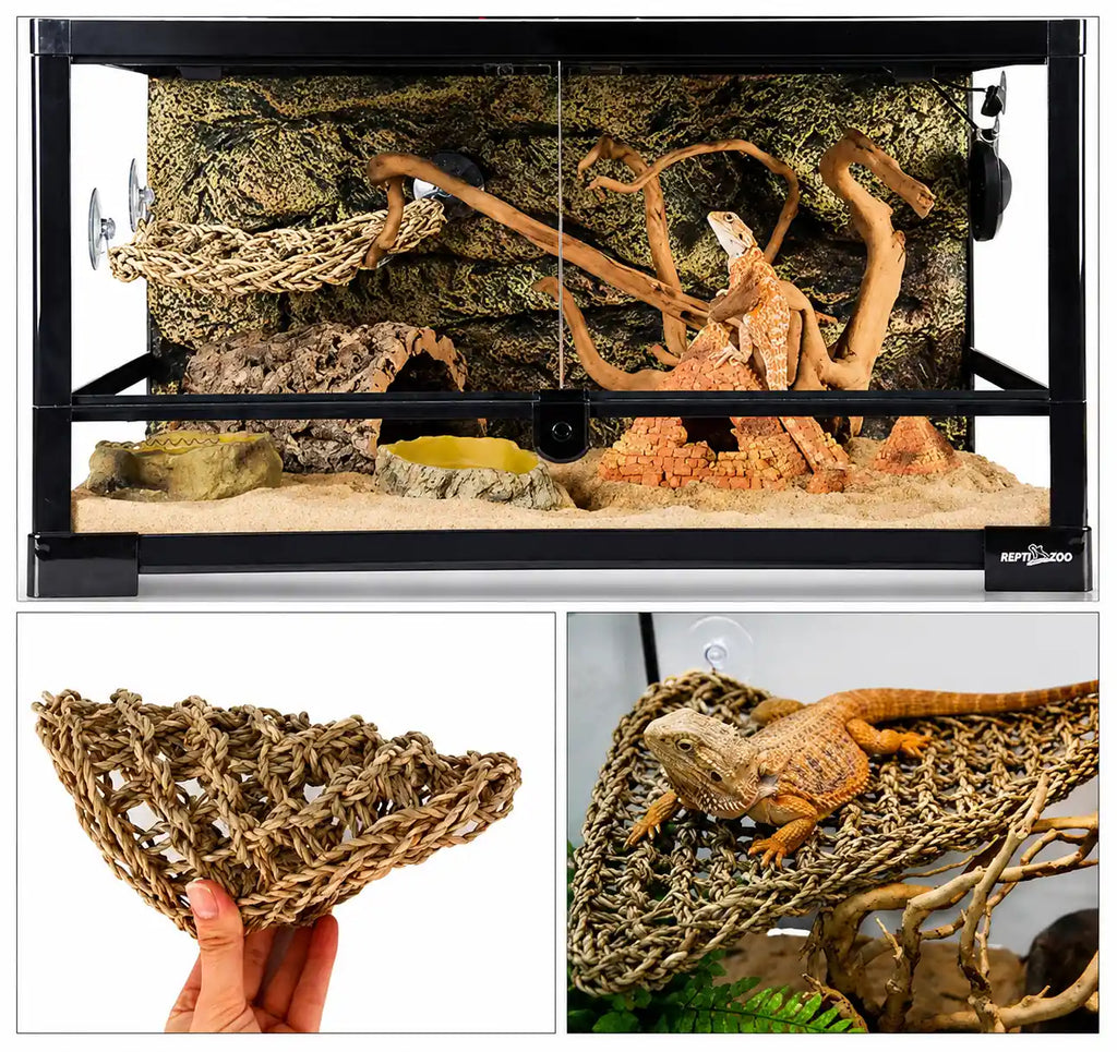 A terrarium accessory set shown in a collage: a large black-framed reptile enclosure with a woven climbing web, bark branches, sandy substrate, and a bearded dragon perched on the web; a close-up of the woven web held in a hand; and a bearded dragon on the web inside the enclosure. The small brand label on the lower right of the enclosure reads terrarium.