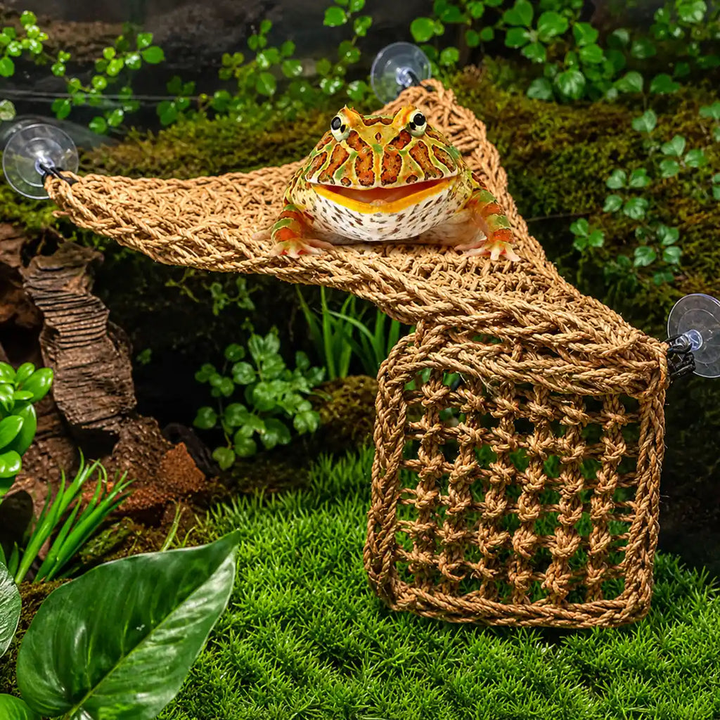 Natural woven terrarium hammock for frogs, geckos, lizards and other climbing reptiles. Easy to install habitat accessory that provides a comfortable elevated resting platform.