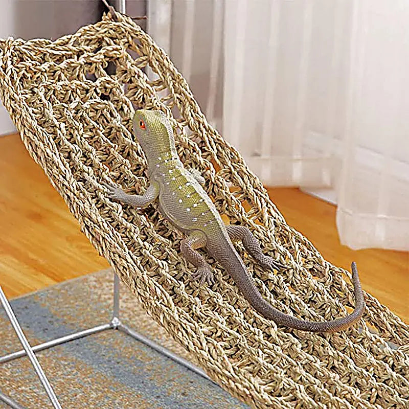 Lizard relaxing on a woven natural fiber hammock for reptile terrarium enclosure.