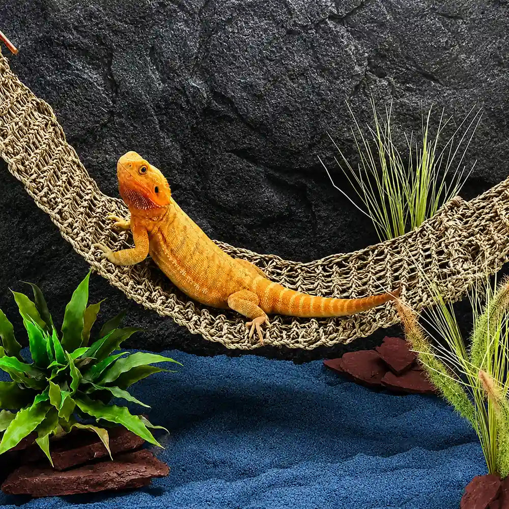 A bearded dragon lizard resting on a woven natural-fiber hammock inside a terrarium setup with dark rock backdrop, blue substrate, and artificial plants.
