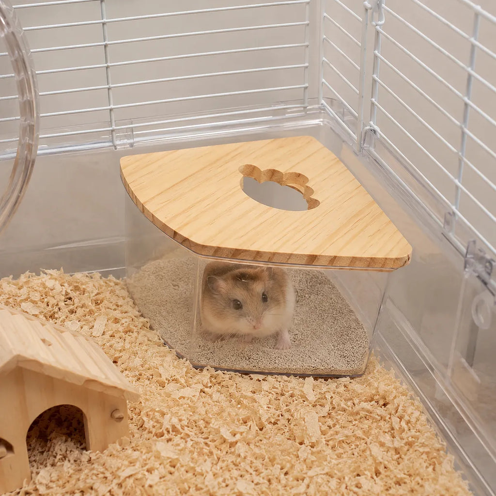 Dwarf hamster sitting inside a transparent corner sand bath with a bamboo lid in a clean habitat with wood shavings and a wooden hideout.