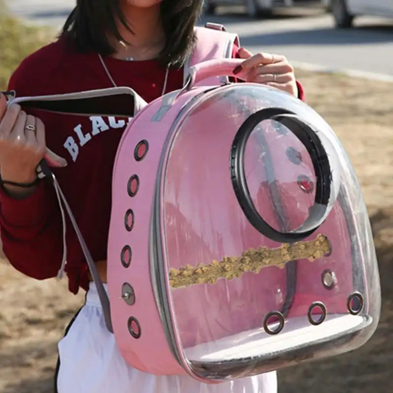 Pink transparent bubble pet carrier backpack with ventilation holes for carrying cats, small dogs, rabbits, birds, and other small pets comfortably.