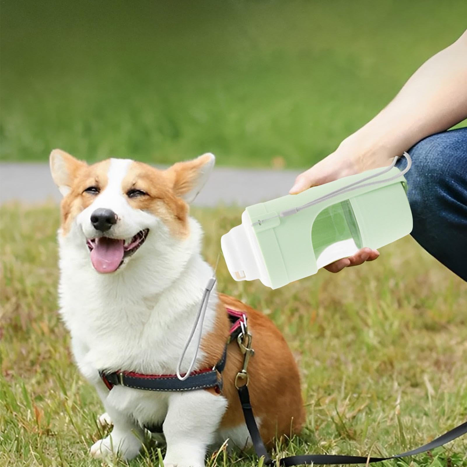 Travel-Friendly 2-in-1 Pet Water Bottle & Snack Feeder