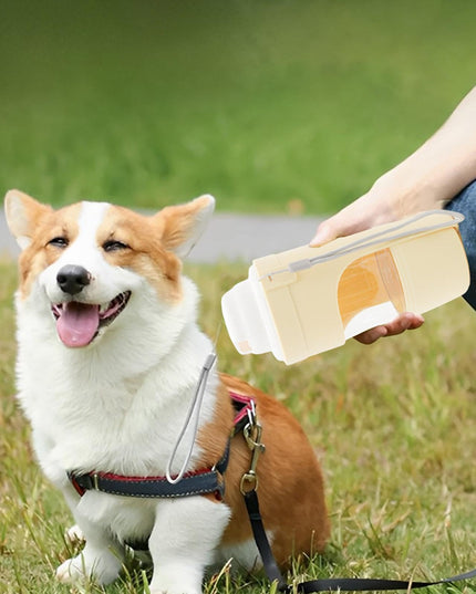 Travel-Friendly 2-in-1 Pet Water Bottle & Snack Feeder