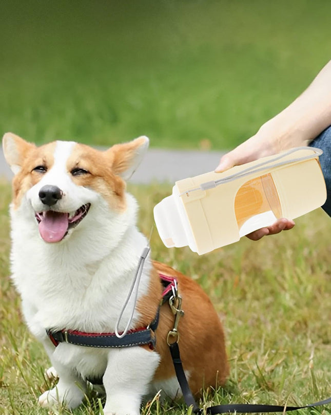 Travel-Friendly 2-in-1 Pet Water Bottle & Snack Feeder
